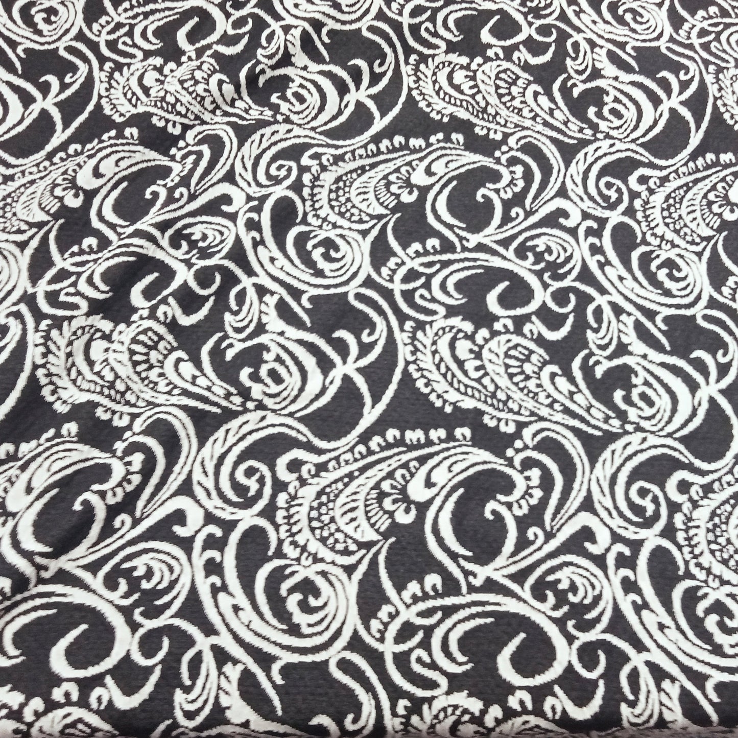 Jacquard design fabric - black/ivory sold by 1/2mtr
