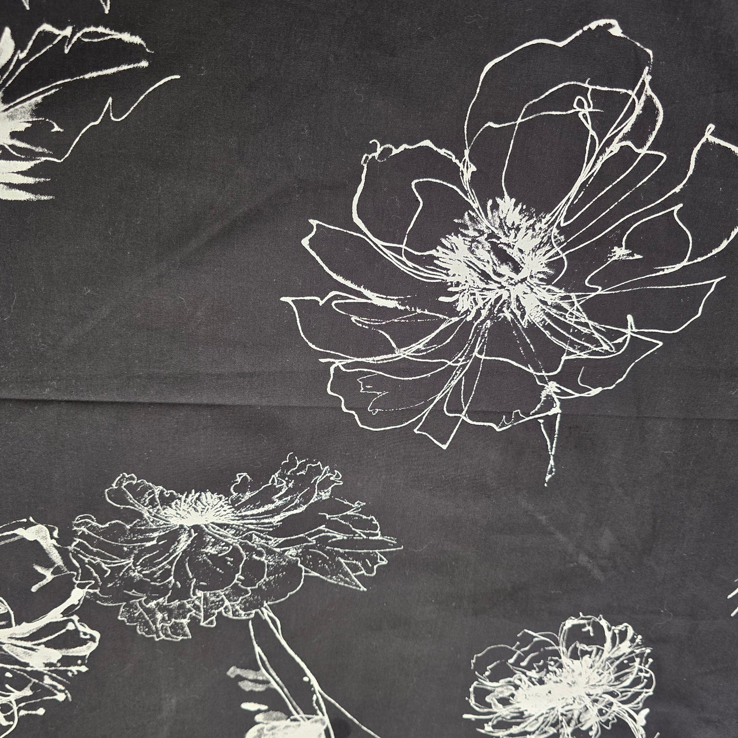 Sketch printed cotton - Sold by 1/2mtr