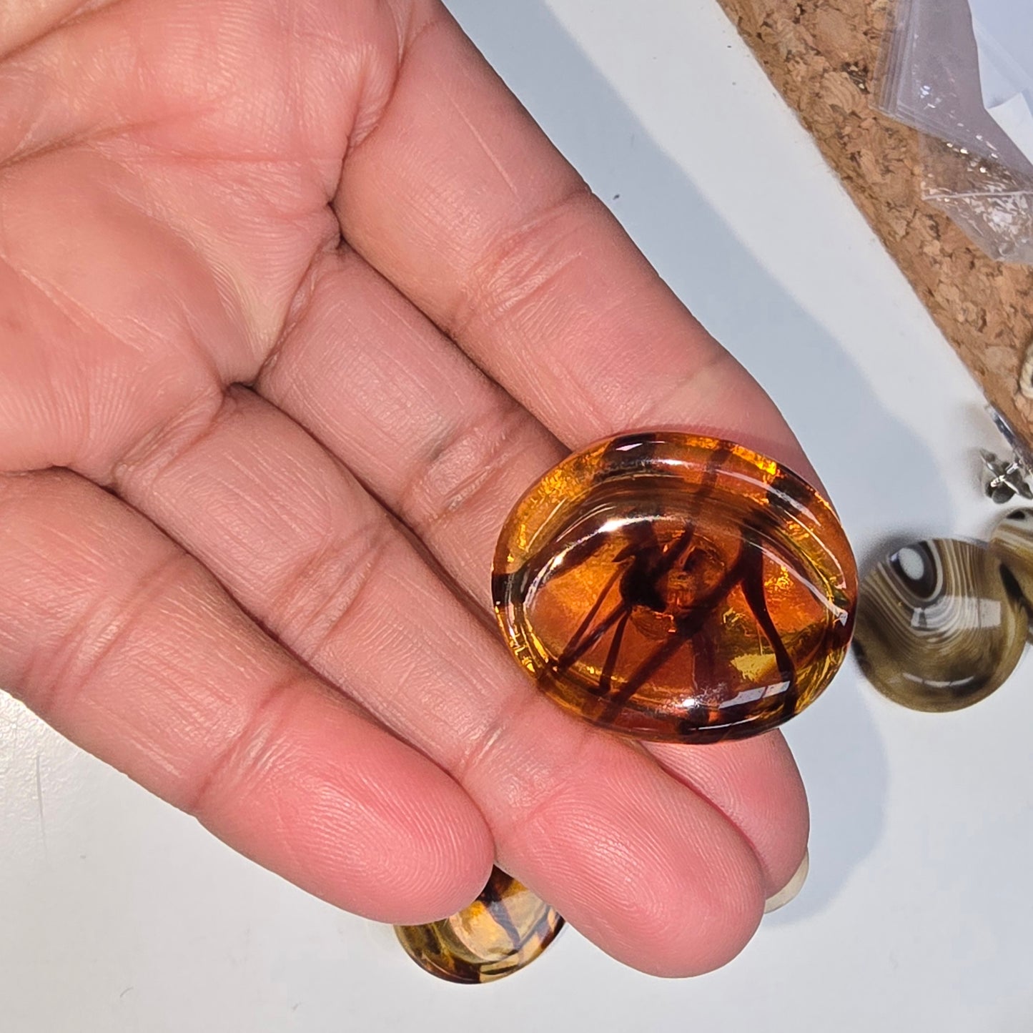 Oval glass shank button -5