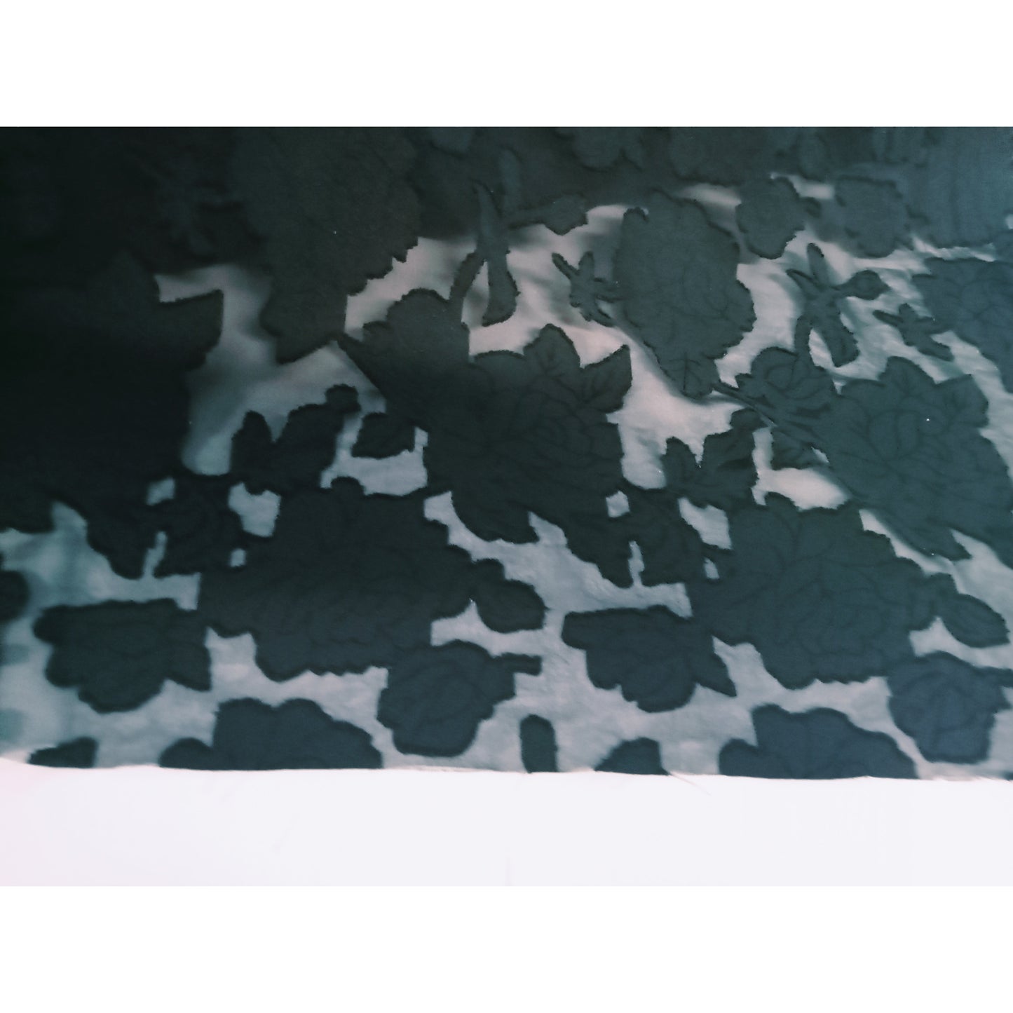 Burnout floral design woven fabric