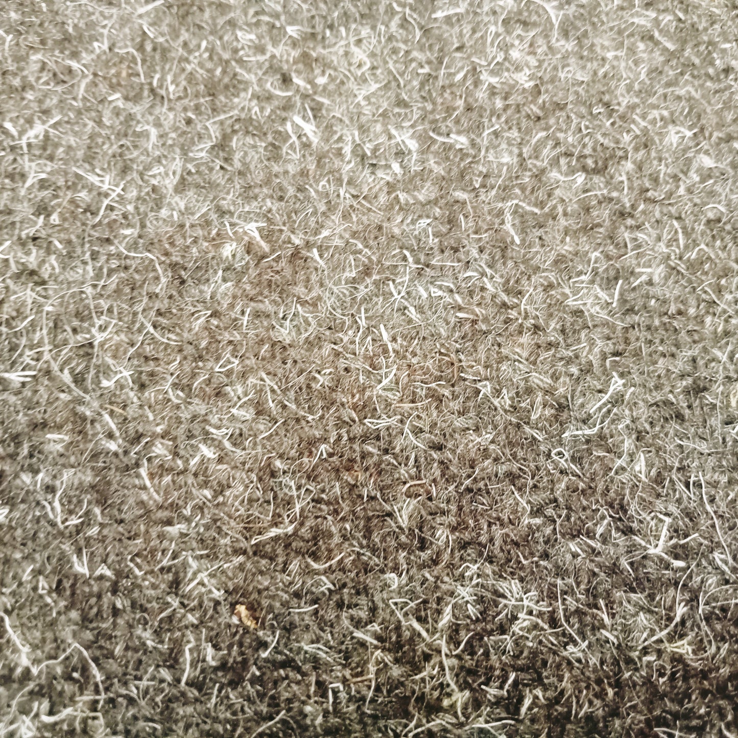 mohair wool fabric - 100% wool - sold by 1/2mtr